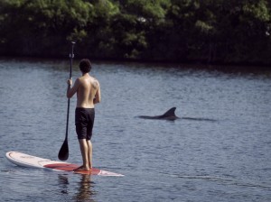 Best SUP Paddle board and kayak rental, lessons and tours in Vero Beach Florida