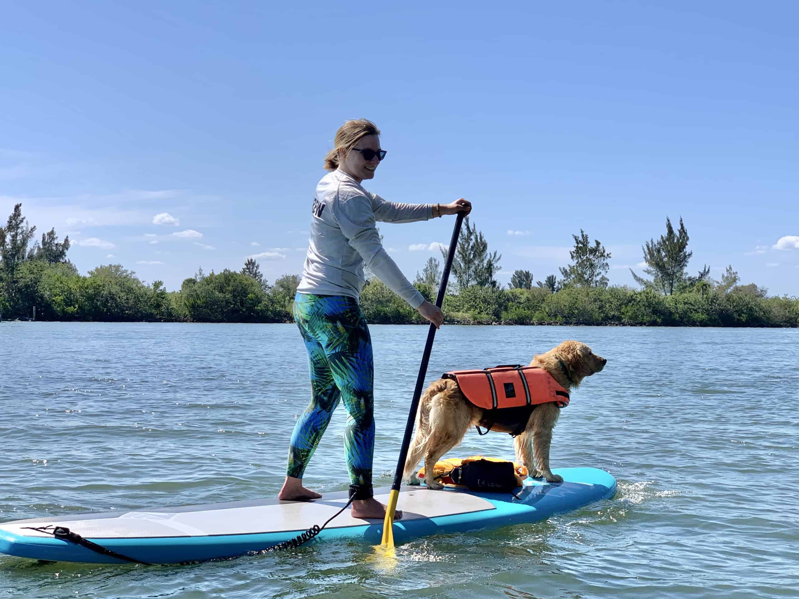 hale koa paddle board rental
